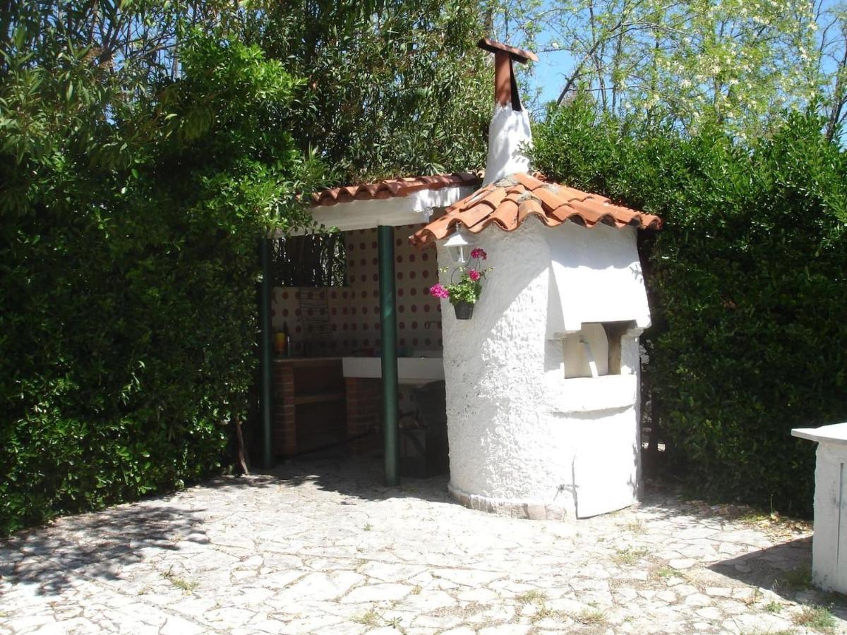 Villa Immersa Nel Verde, Spiaggia A 200M Termoli Exterior photo