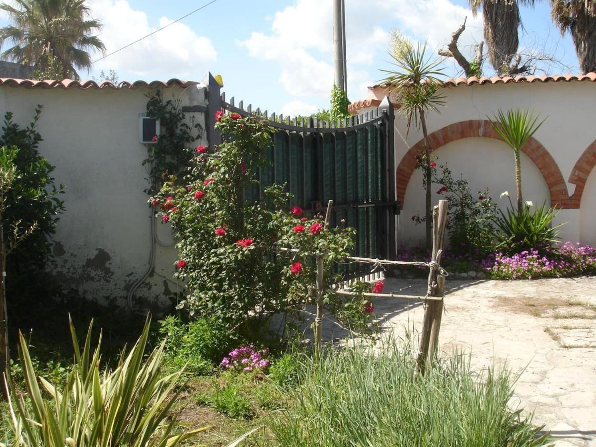 Villa Immersa Nel Verde, Spiaggia A 200M Termoli Exterior photo